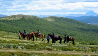 randonnee cheval norvege