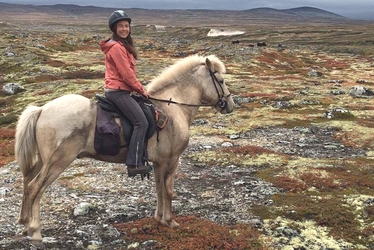 randonnee cheval norvege