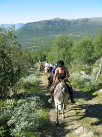 Randocheval - S&eacute;jour &eacute;questre en Norv&egrave;ge