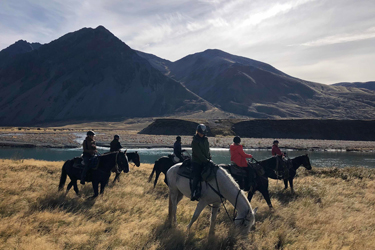 rando cheval nouvelle zelande