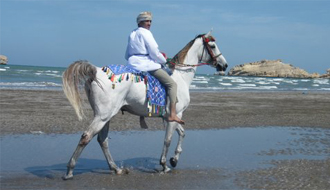 randonnee cheval oman