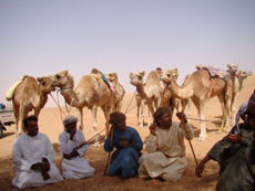 randonnee cheval oman