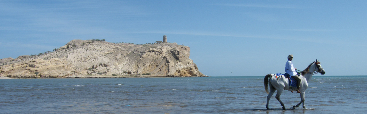 randonnee cheval oman