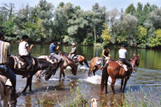 Randonn&eacute;e &eacute;questre gastronomique dans le P&eacute;rigord - Rando Cheval / Absolu Voyages