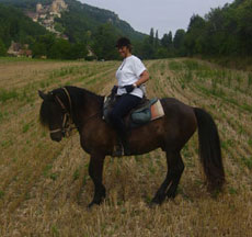 Cavalerie principalement compos&eacute;e de chevaux ib&eacute;riques - Randocheval