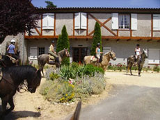 Voyage à cheval dans les causses périgourdines - Randocheval