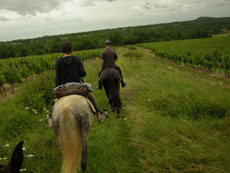 Randonnée équestre dans le Quercy - causses et vignobles