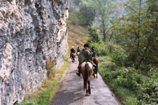 Randonnée équestre sur chevaux de type lusitaniens principalement - Randocheval