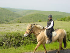 Randonn&eacute;e &eacute;questre dans les paysages p&eacute;rigourdins - Randocheval
