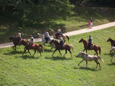 Exp&eacute;dition &eacute;questre dans le P&eacute;rigord vert - Randocheval
