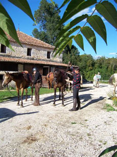 D&eacute;part &agrave; cheval pour une nouvelle journ&eacute;e en selle &agrave; allures dynamiques - P&eacute;rigord vert - Randocheval