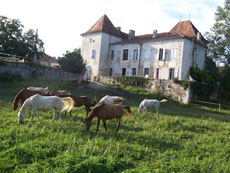 Chambre d'h&ocirc;te de Beaurecueil - P&eacute;rigord - Rando Cheval