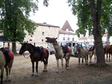 Visite de Varaignes lors de notre randonn&eacute;e &agrave; cheval dans le P&eacute;rigord - Randocheval