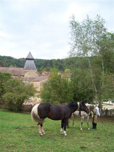 Exp&eacute;dition &eacute;questre dans le P&eacute;rigord - Rando Cheval