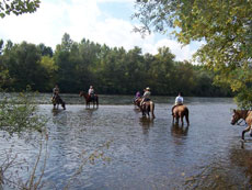 Randonn&eacute;e &eacute;questre dans le P&eacute;rigord - Randocheval