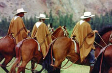 Au pays du Paso P&eacute;ruvien en randonn&eacute;e &eacute;questre au P&eacute;rou - Randocheval