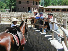 Pr&eacute;paration des chevaux dans le corail au P&eacute;rou - Randocheval