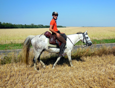 randonnee cheval vienne