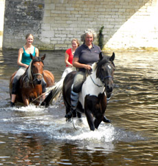 randonnee cheval vienne