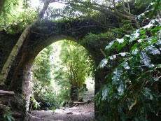Secret des A&ccedil;ores - RANDOCHEVAL