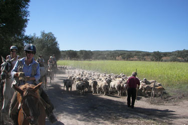 randonnee cheval portugal