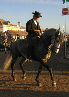 randonnee cheval portugal