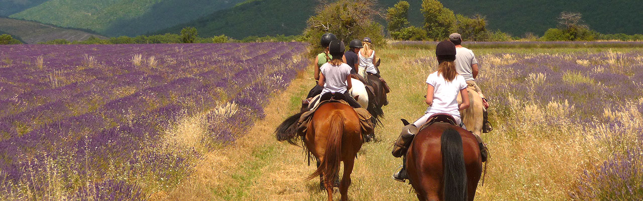 randonnee cheval forcalquier
