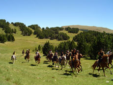 Trail rides for children and teenagers - Randocheval