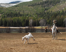 S&eacute;jour &eacute;questre en Ranch, Montana Nord - RANDOCHEVAL
