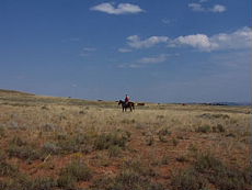 S&eacute;jour &agrave; cheval dans un ranch du Montana (USA)