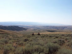  Cattle drive on horseback in one of the biggest working ranch of the USA (Montana-Wyoming / USA) - Randocheval / Absolu Voyages