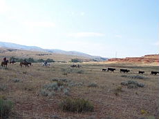 S&eacute;jour &agrave; cheval dans un ranch du Montana (USA)
