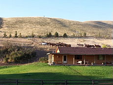 S&eacute;jours &agrave; cheval dans un ranch du Montana (USA)
