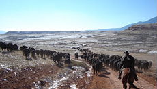 (Montana-Wyoming / USA) - photo Aur&eacute;lie Buiron