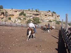 S&eacute;jour &agrave; cheval dans un ranch du Montana (USA)