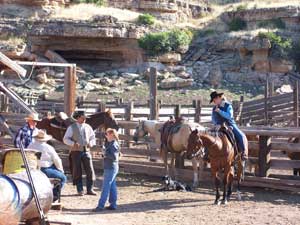 Déplacement de troupeaux à cheval dans l'un des plus grands ranches en activité des Etats-Unis (Montana-Wyoming / USA)