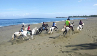 rando cheval a la reunion