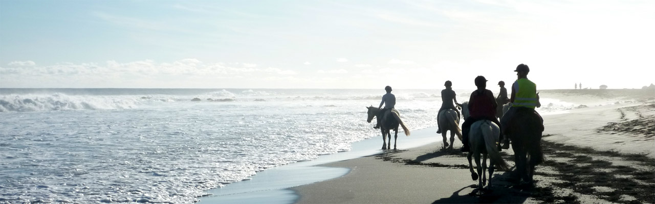 rando cheval a la reunion