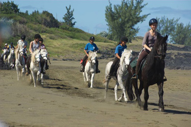 randonnee cheval ile de la reunion