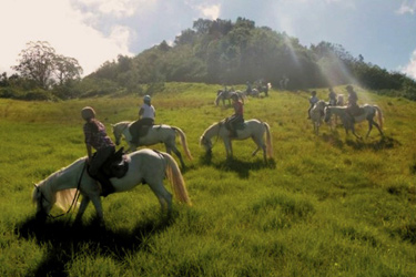 rando cheval a la reunion