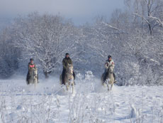 A cheval dans les montagnes des Carpates - Randonn&eacute;e &agrave; cheval en Roumanie - Randocheval