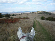 Roumanie - Carpates et Transylvanie à cheval - Randocheval