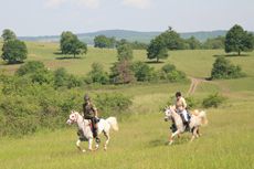 Roumanie - galop dans les prairies - Randocheval