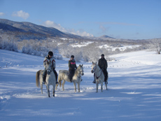Roumanie - randonnée Carpates hivernale - Randocheval