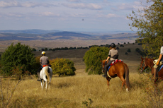 Roumanie - paysage en randonnée équestre en Transylvanie - Randocheval