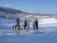 A cheval dans les montagnes des Carpates - Randonn&eacute;e &agrave; cheval en Roumanie - Randocheval
