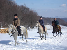 A cheval dans les montagnes des Carpates - Randonnée à cheval en Roumanie - Randocheval