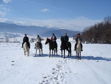 A cheval dans les montagnes des Carpates - Randonn&eacute;e &agrave; cheval en Roumanie - Randocheval