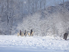 A cheval dans les montagnes des Carpates - Randonn&eacute;e &agrave; cheval en Roumanie - Randocheval