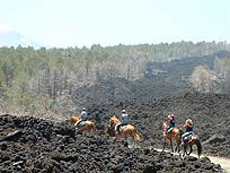 Spectacular changes of scenery on the Mount Etna slopes - RANDOCHEVAL